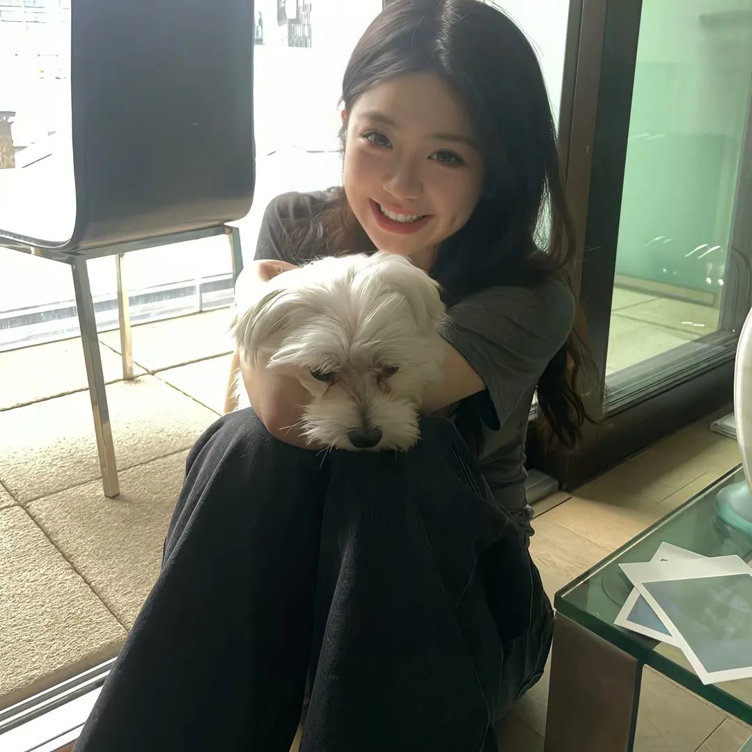 穿靴子的猫2